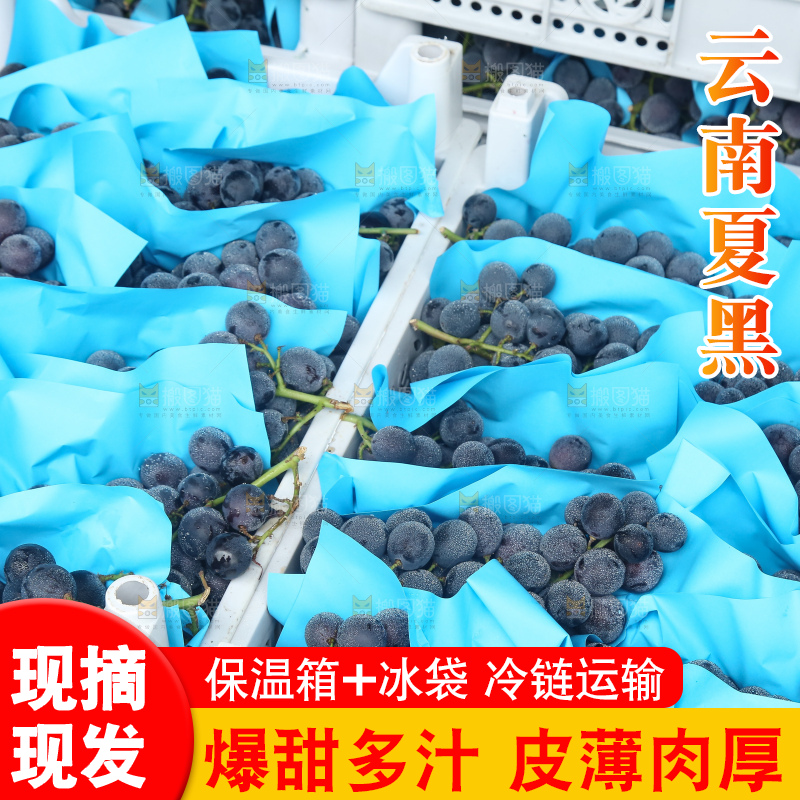 箱子里的夏黑葡萄