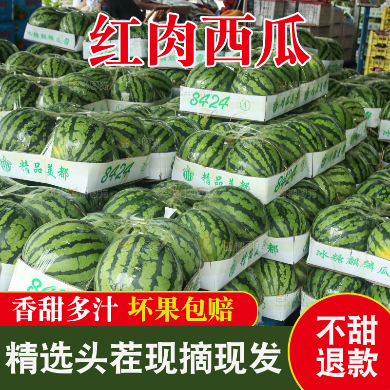 堆放着的冰糖麒麟瓜