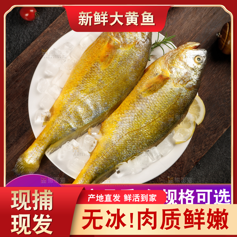 黄花鱼主图