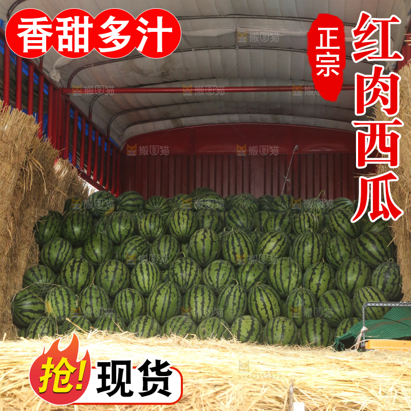 堆放着的冰糖麒麟瓜