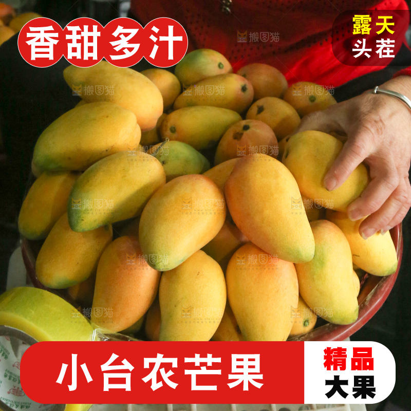 摆放整齐的小台芒