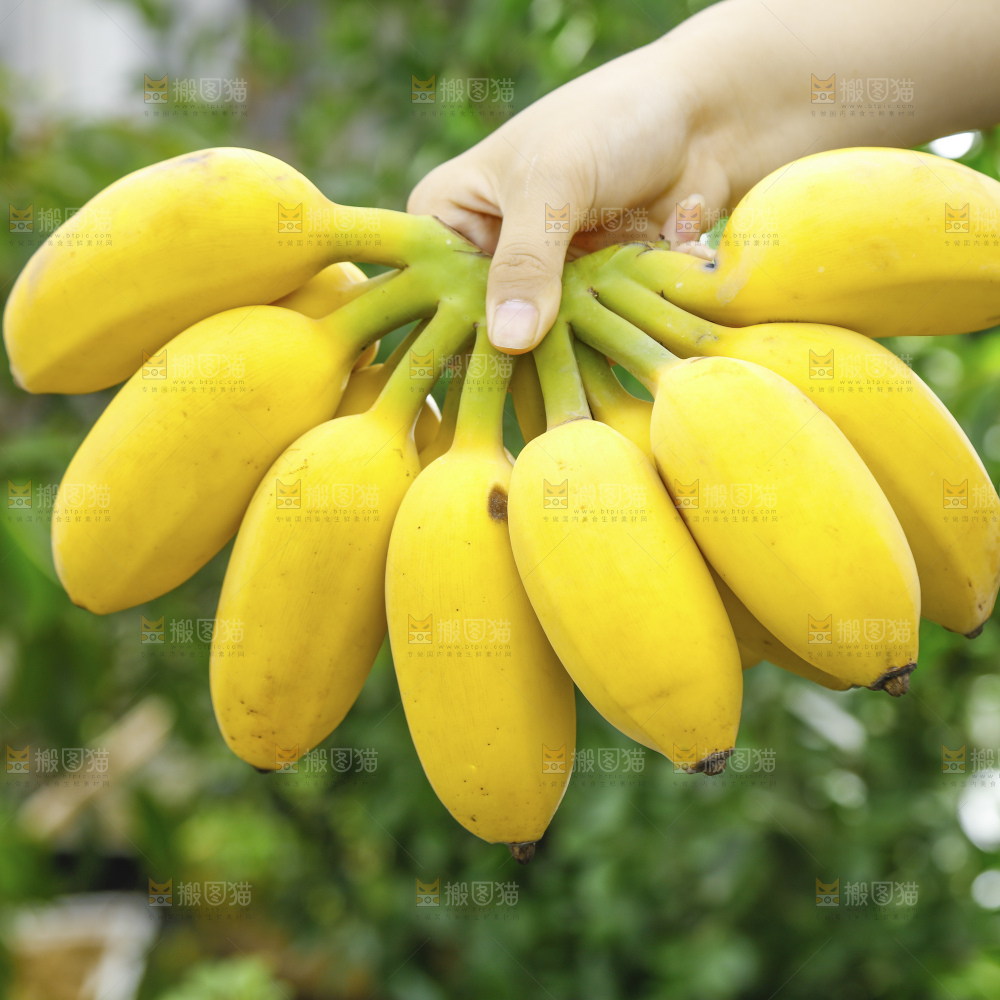手里拿着苹果蕉