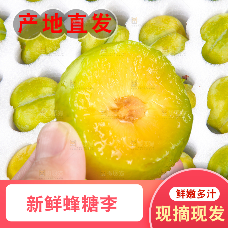 蜂糖李主图