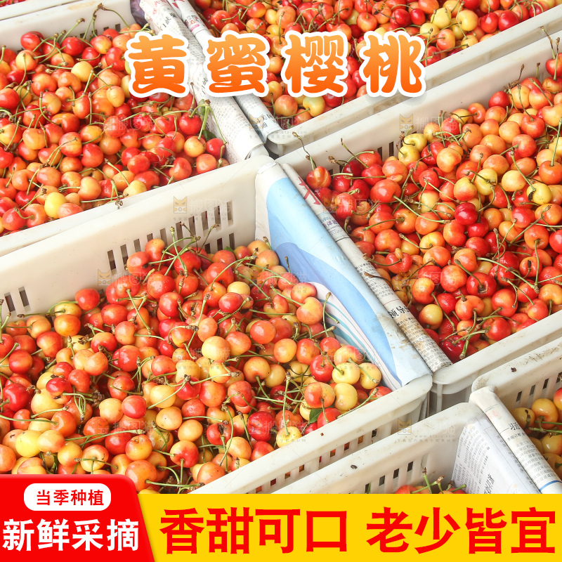 箱子里装着黄蜜樱桃