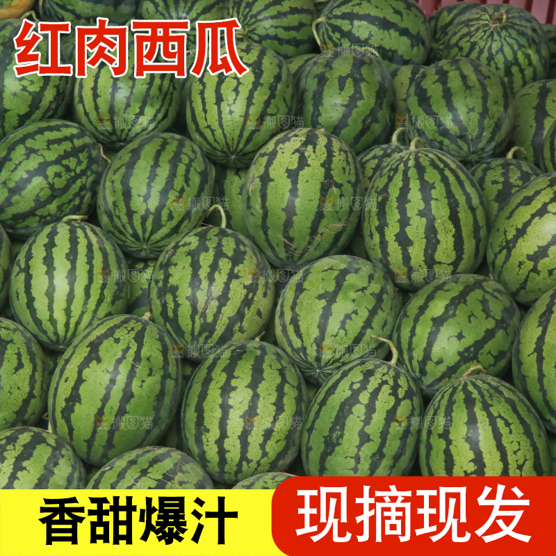 堆放着的冰糖麒麟瓜