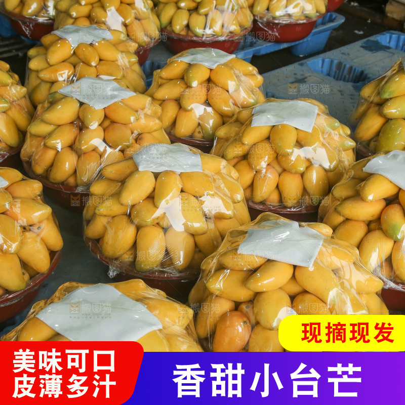 摆放整齐的小台芒