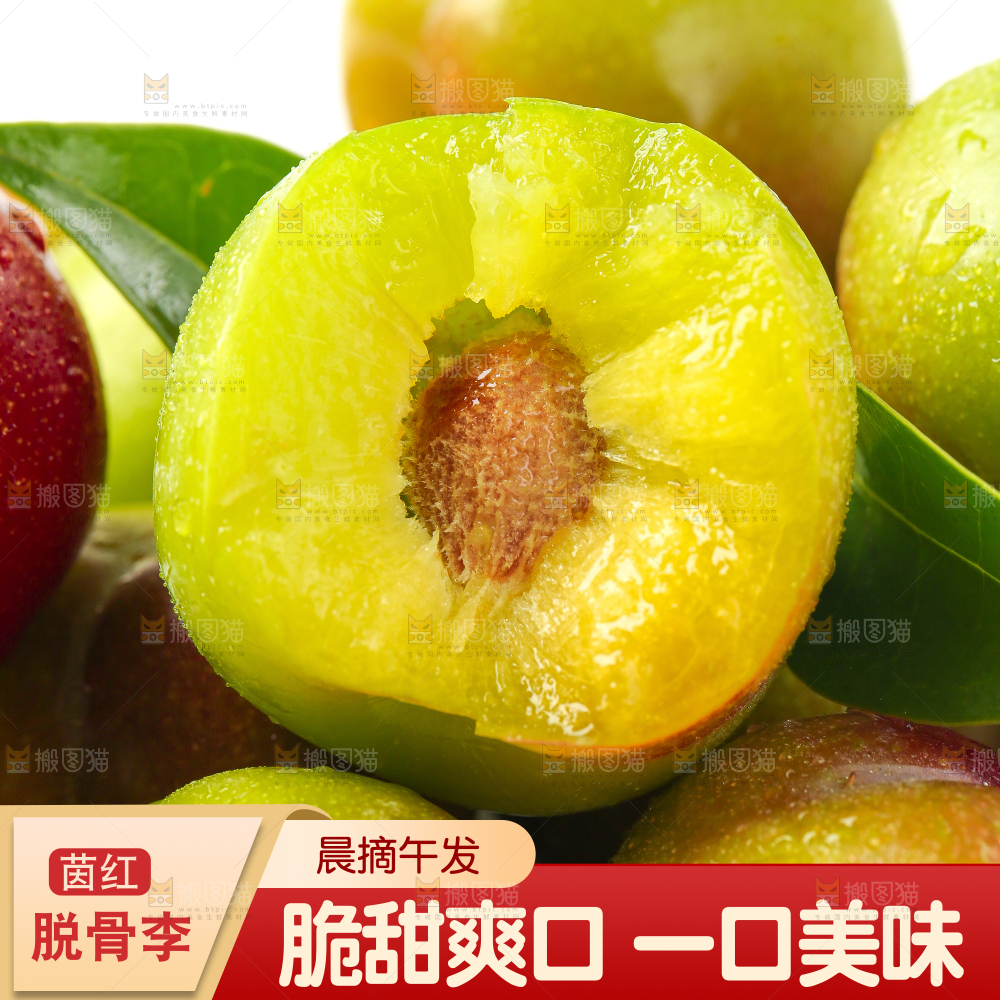 茵红脱骨李主图
