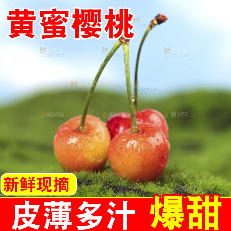 草地上放着黄蜜樱桃