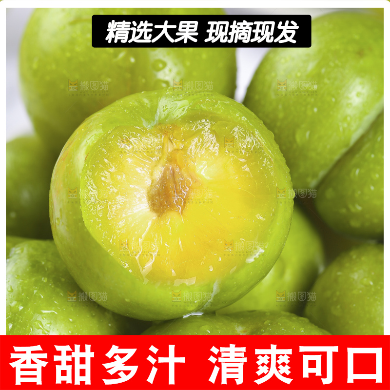手里拿着蜂糖李