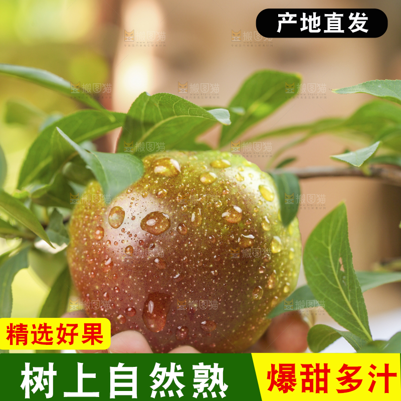 手里拿着半边红李子