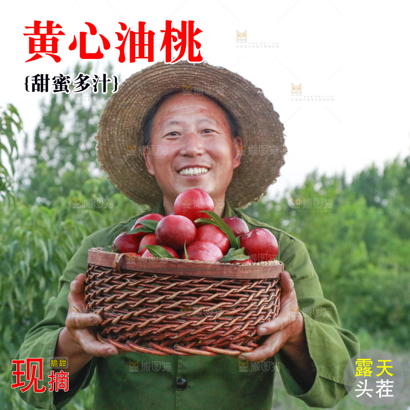 手里拿着黄肉油桃