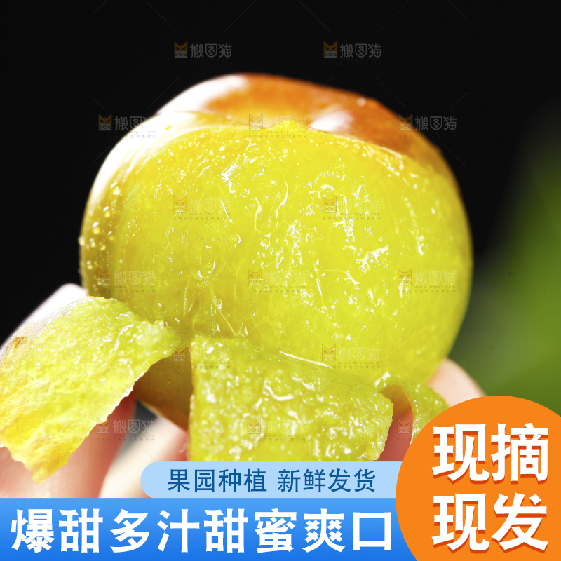 深底上的半边红李子
