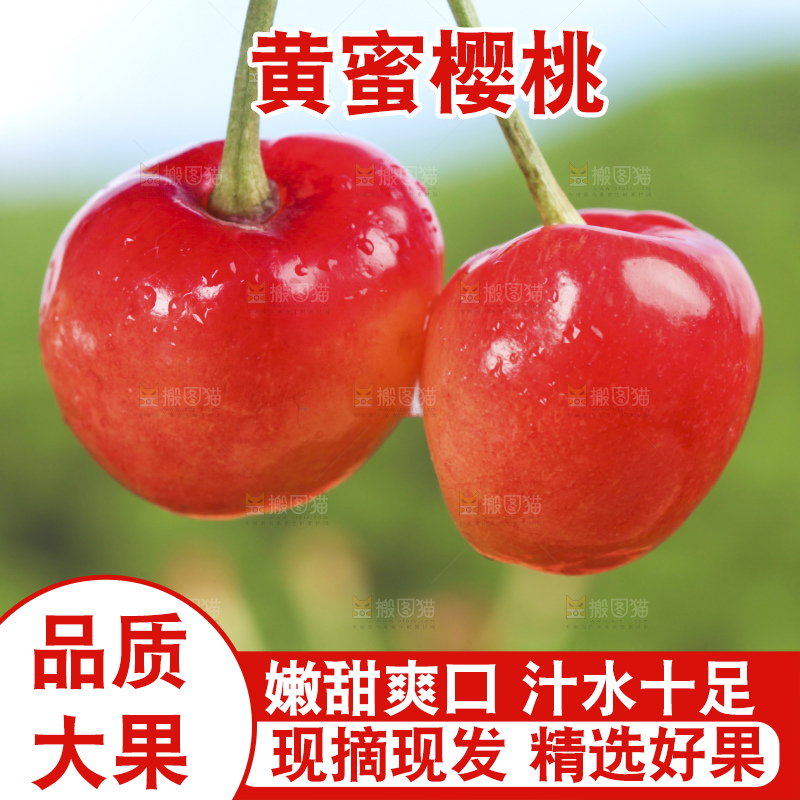 草地上放着黄蜜樱桃