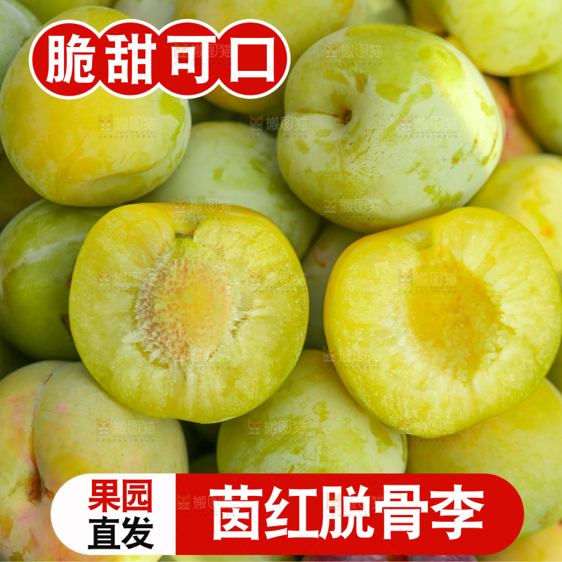 茵红脱骨李主图
