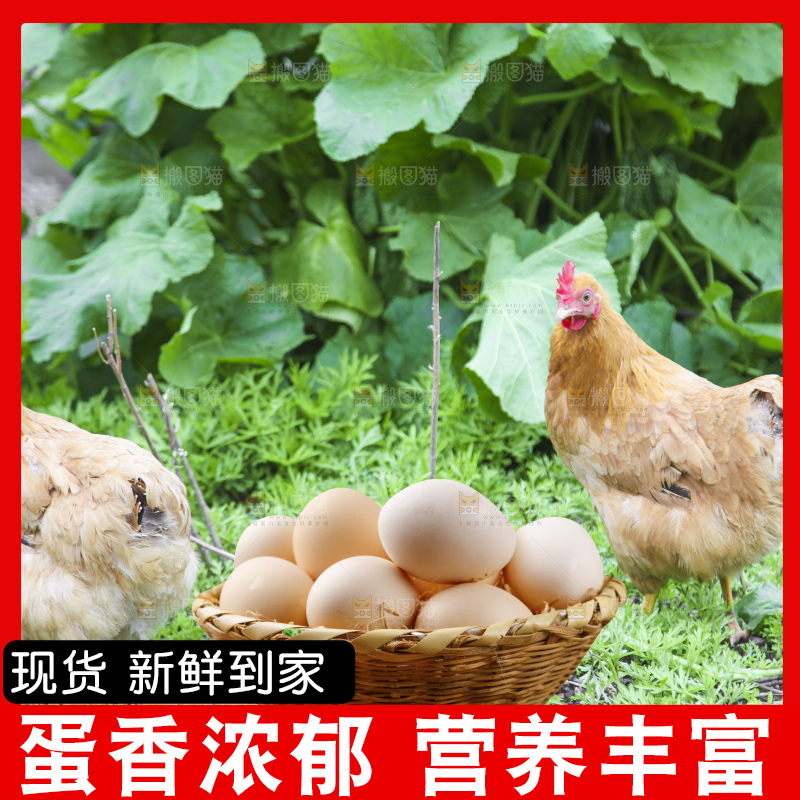 深底上的土鸡蛋