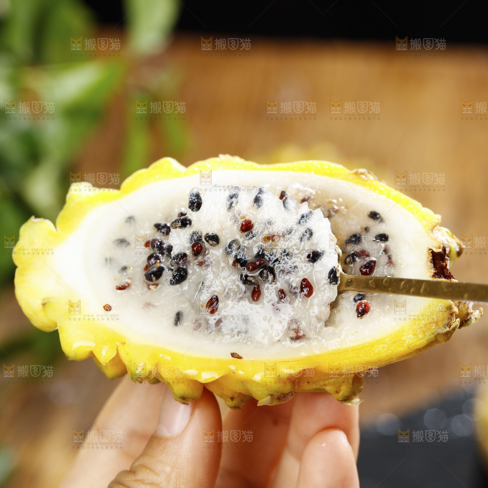 浅底上的麒麟果