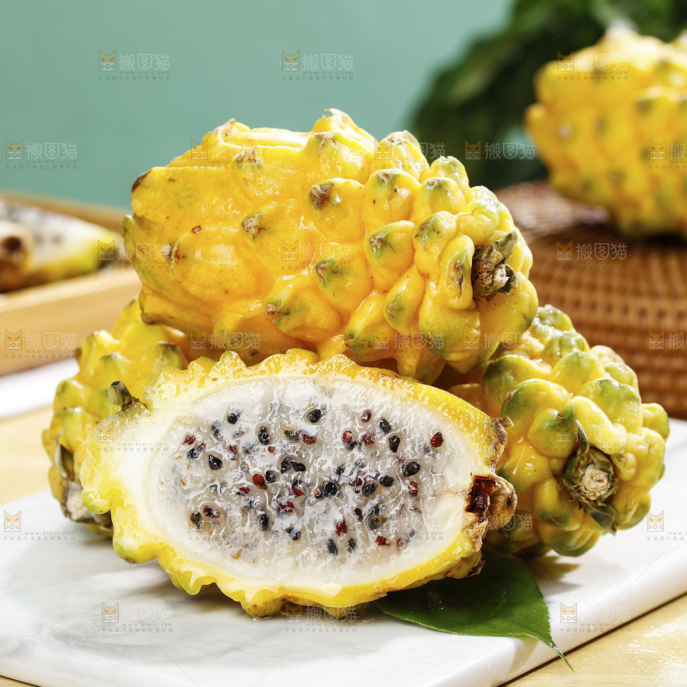 浅底上的麒麟果