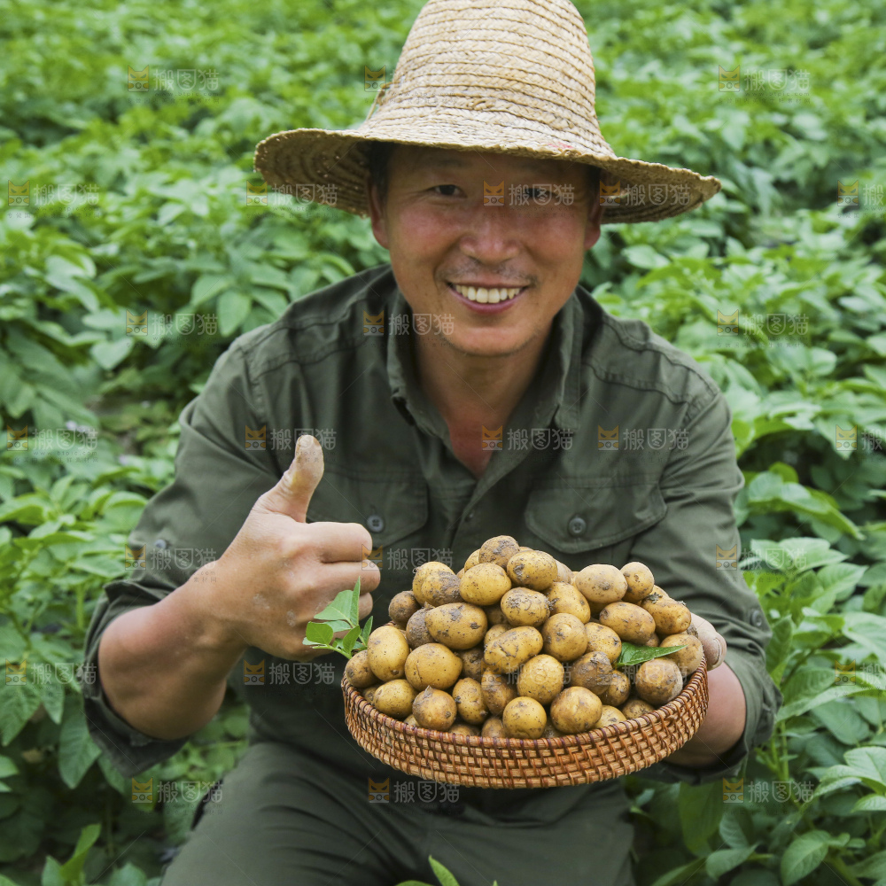手里拿着小土豆