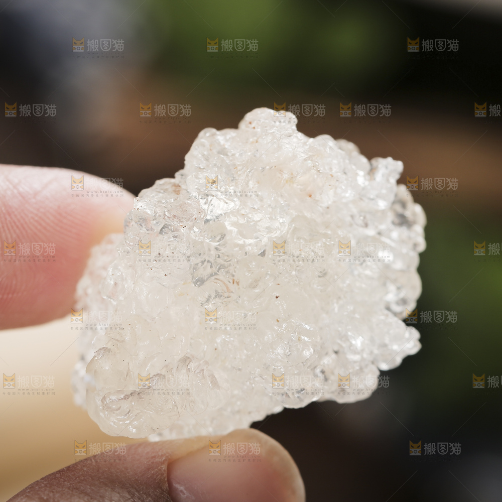 深底上的雪燕