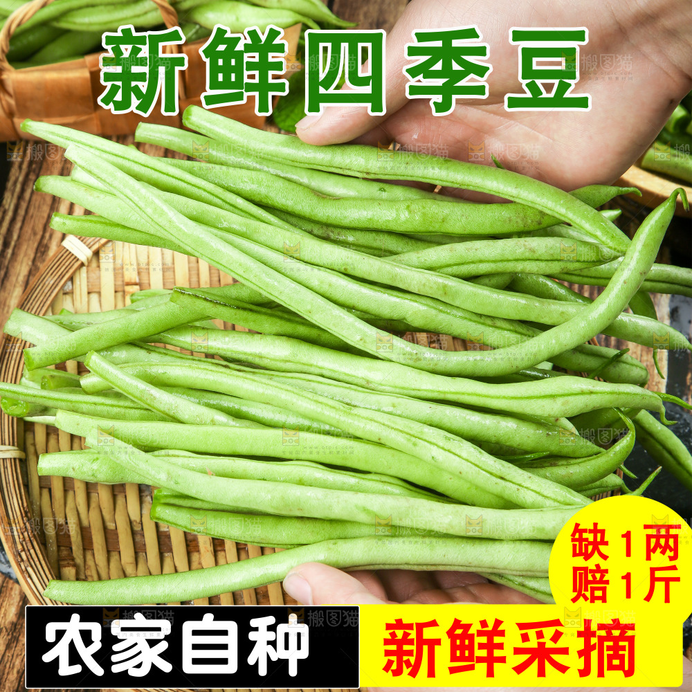 四季豆主图