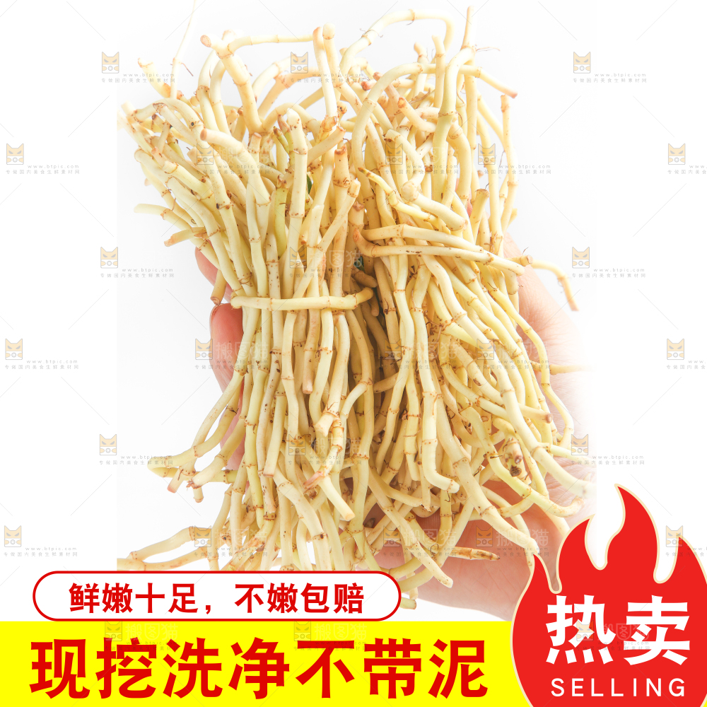 折耳根主图