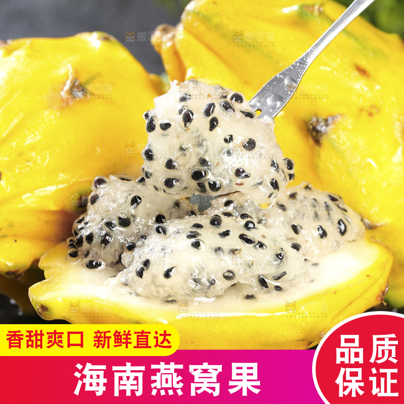浅底上的麒麟果
