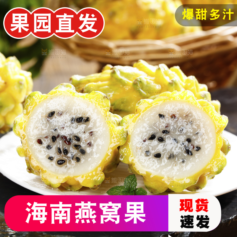 浅底上的麒麟果