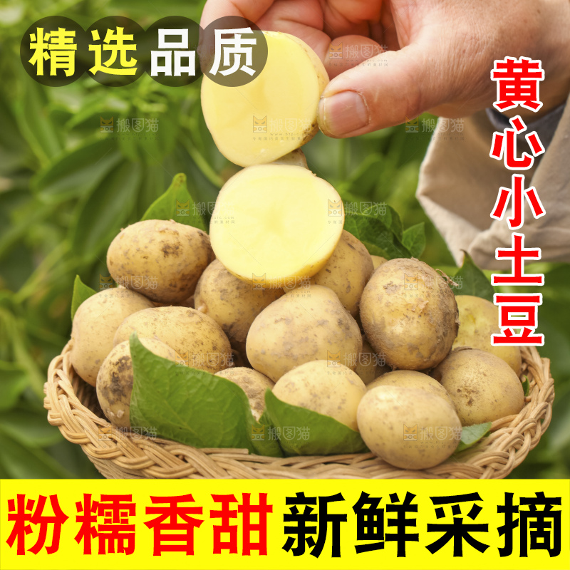 木底上的小土豆