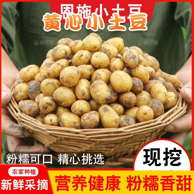 新鲜小土豆主图