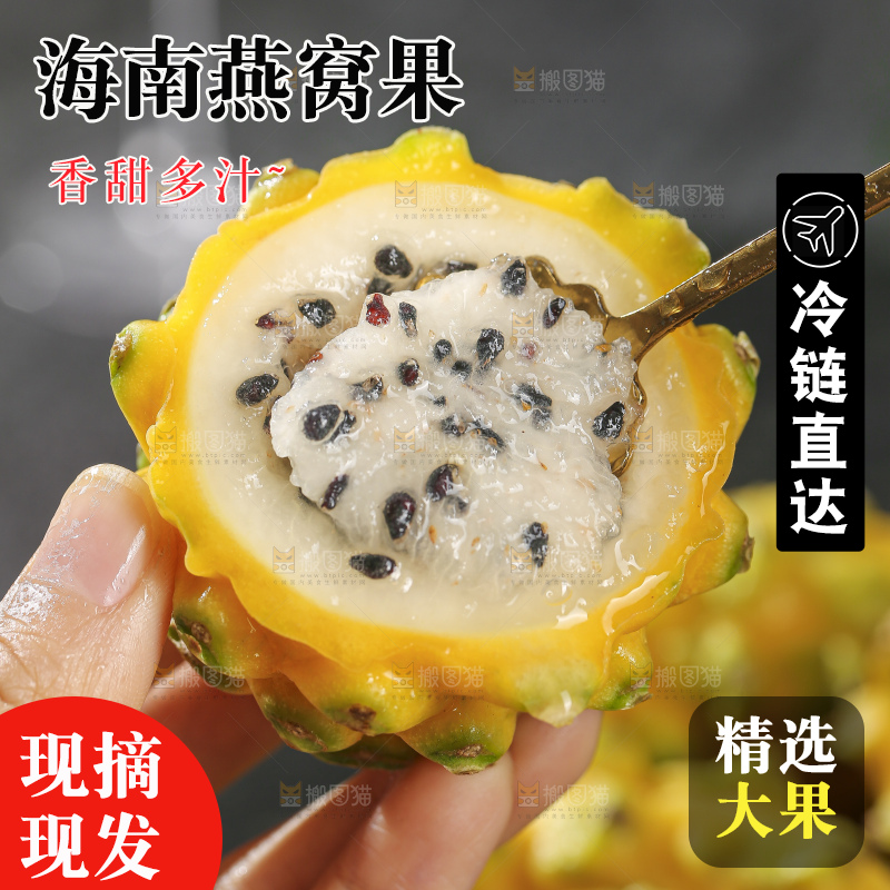 浅底上的麒麟果