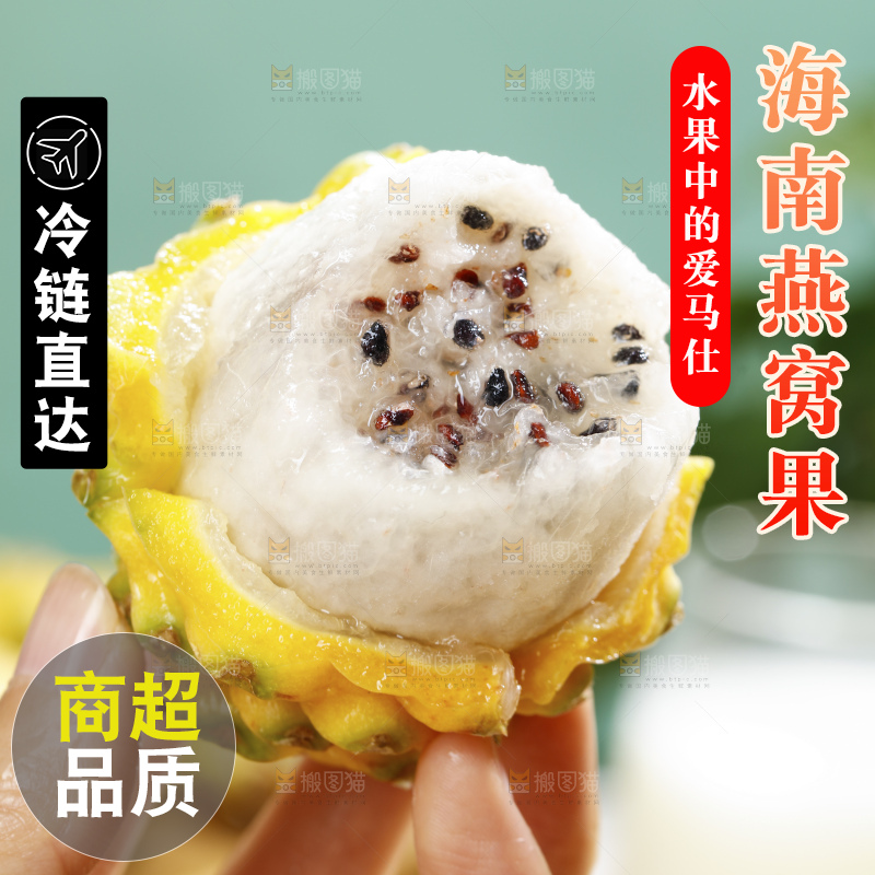 浅底上的麒麟果