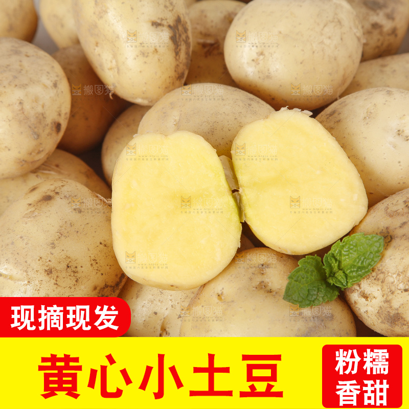 木底上的小土豆