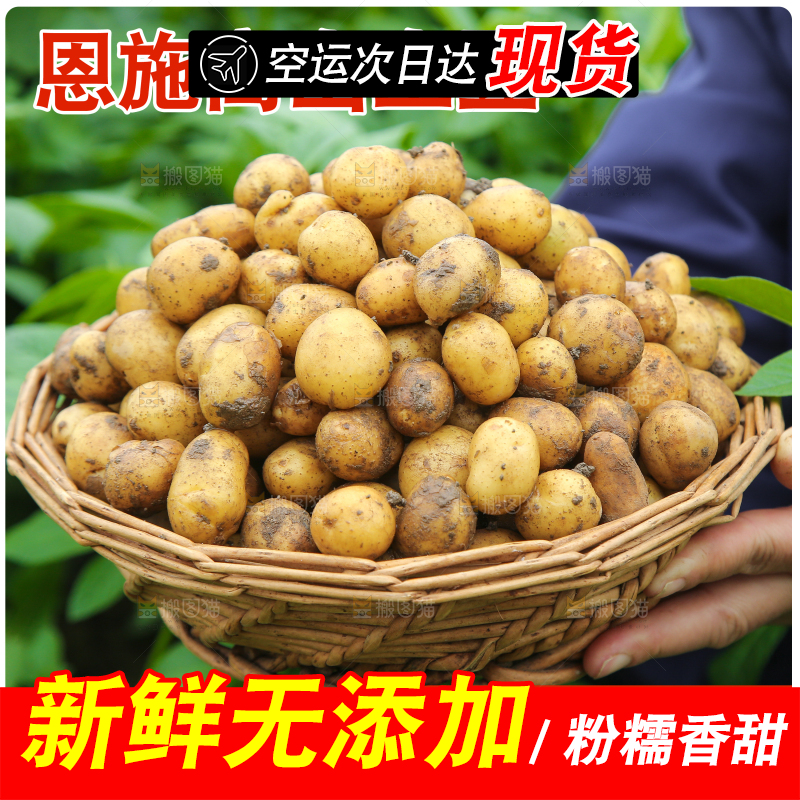 新鲜小土豆主图