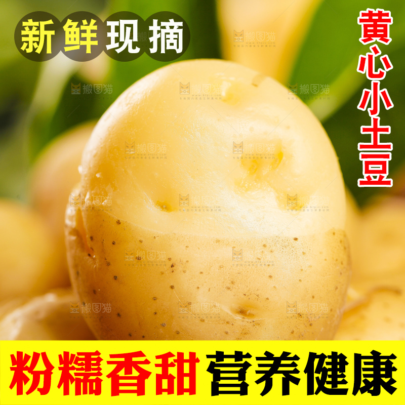 木底上的小土豆