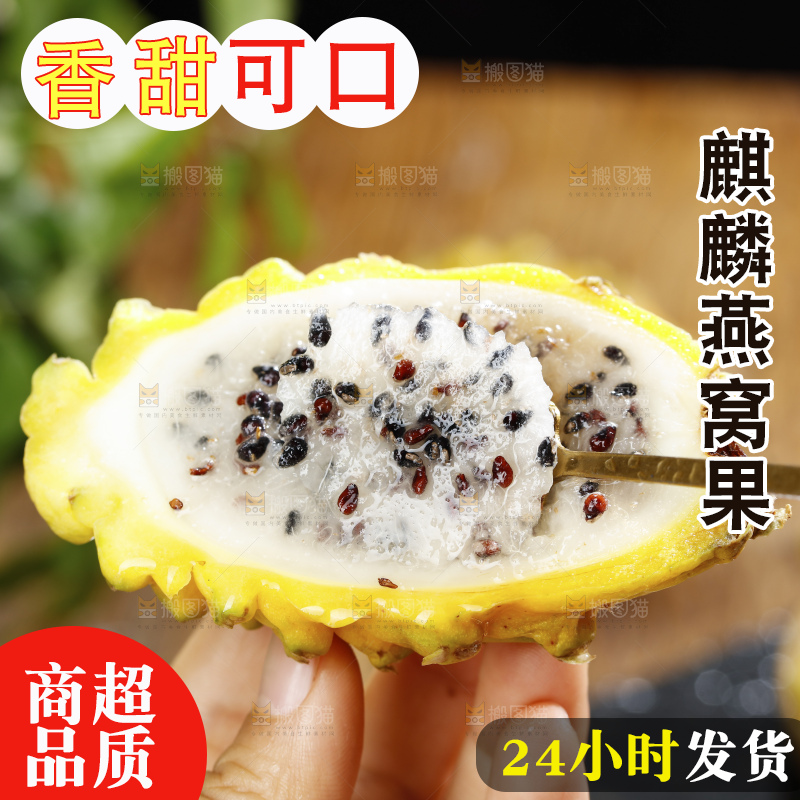 浅底上的麒麟果