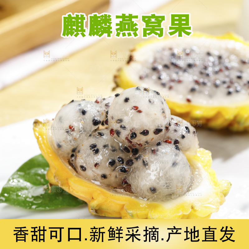 浅底上的麒麟果