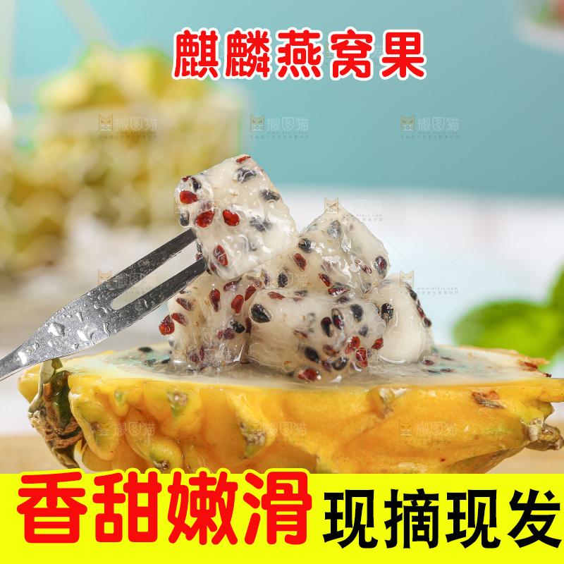浅底上的麒麟果