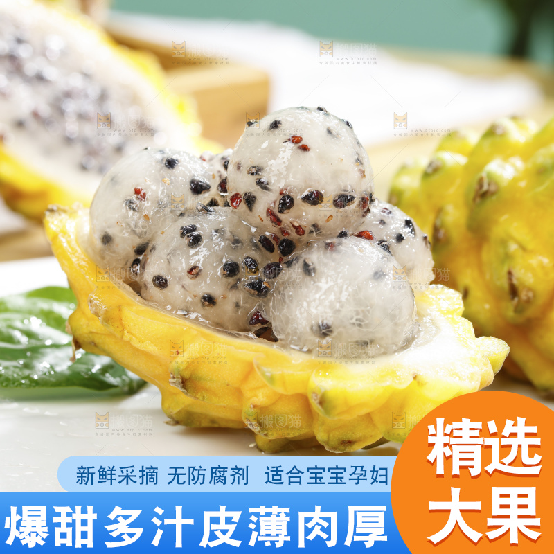 浅底上的麒麟果