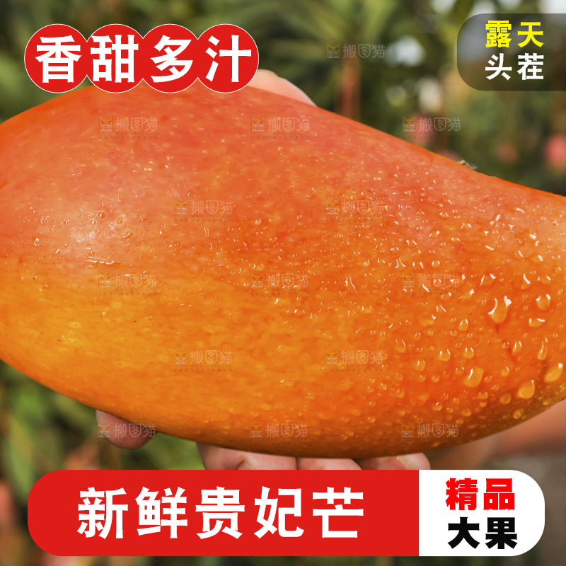 手里拿着贵妃芒果