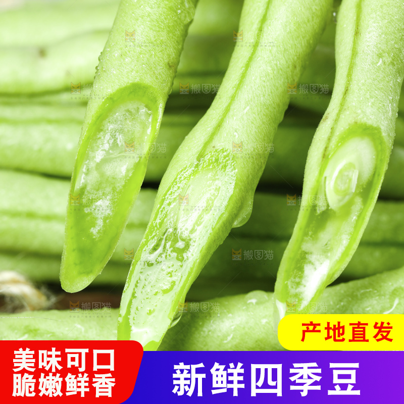 深底上的四季豆