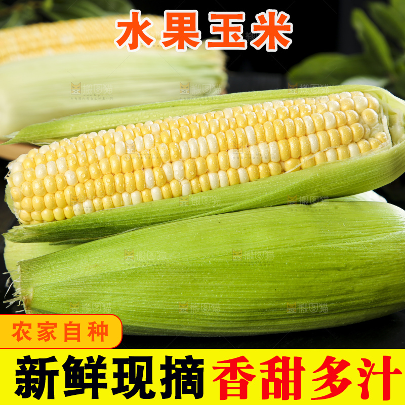 深底上的水果玉米