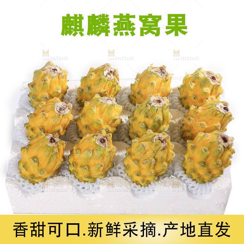白底上的燕窝果
