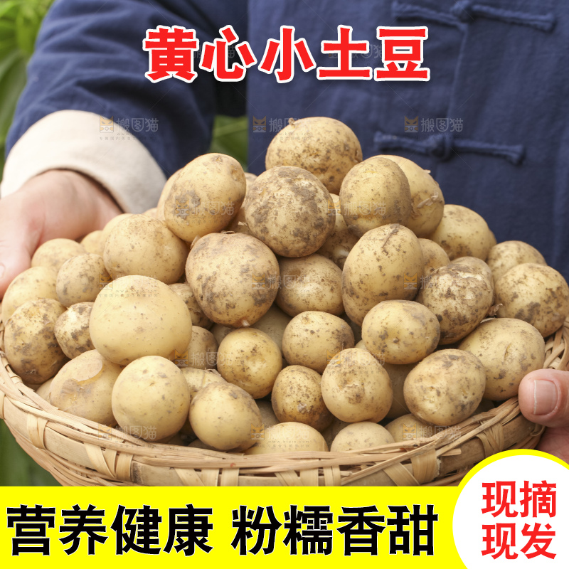 木底上的小土豆