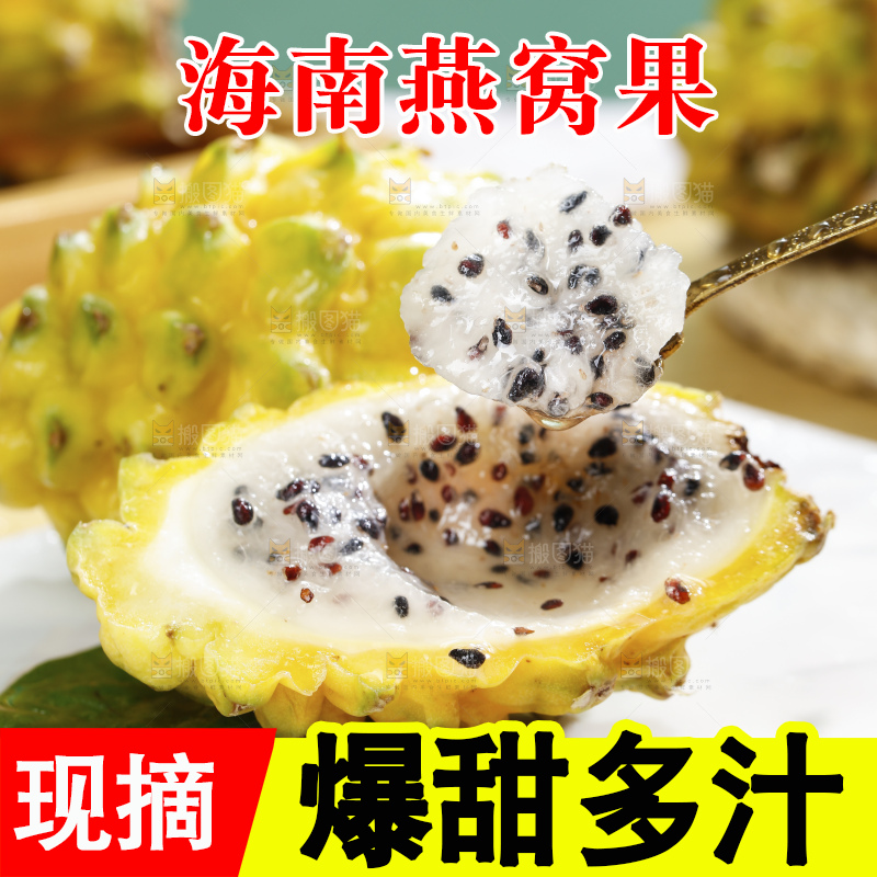 浅底上的麒麟果