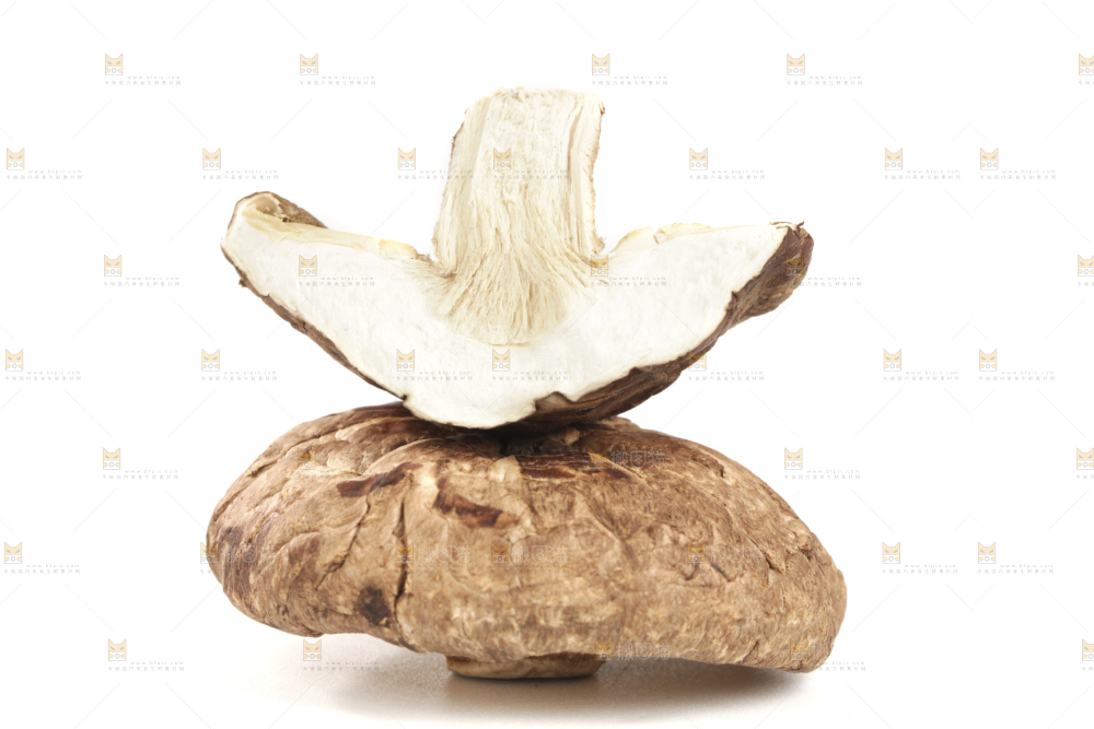 白底上的干香菇
