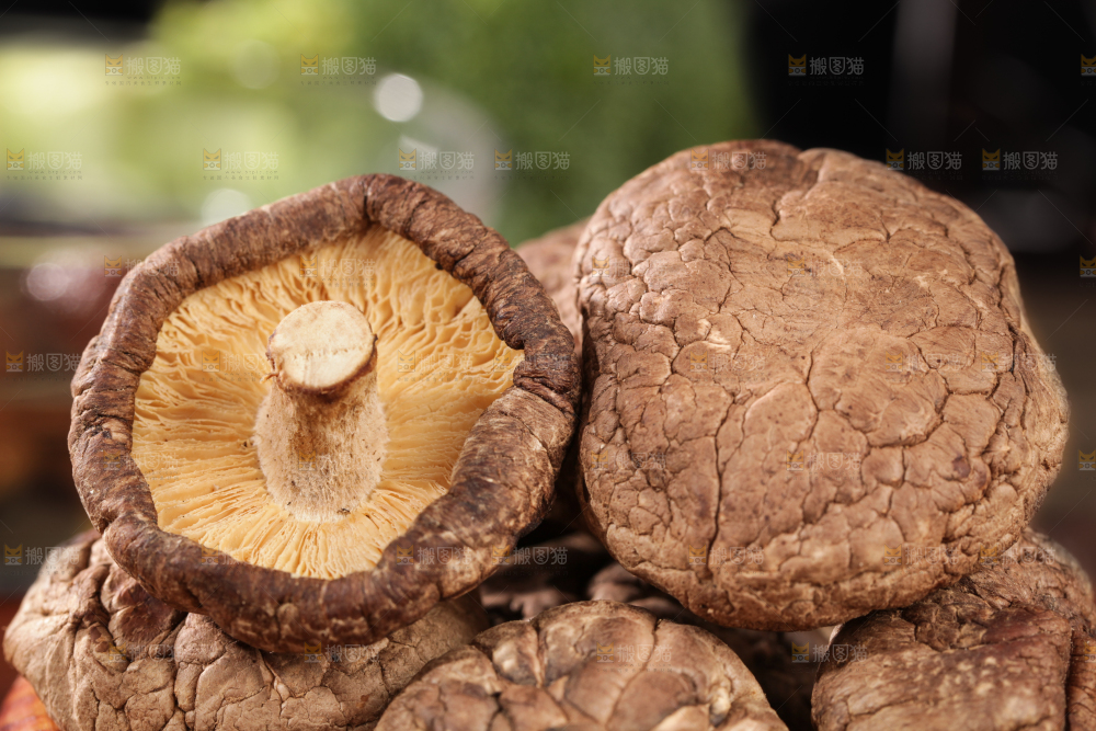 深底上的干香菇