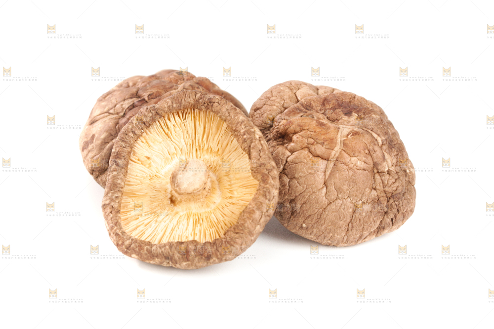 白底上的干香菇