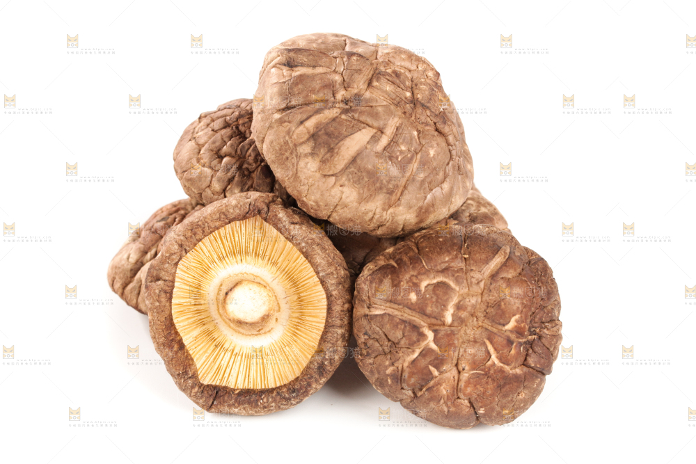 白底上的干香菇