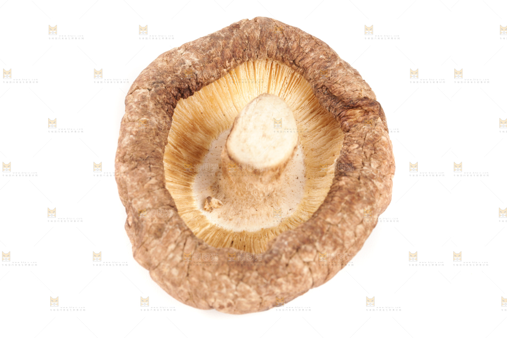 白底上的干香菇