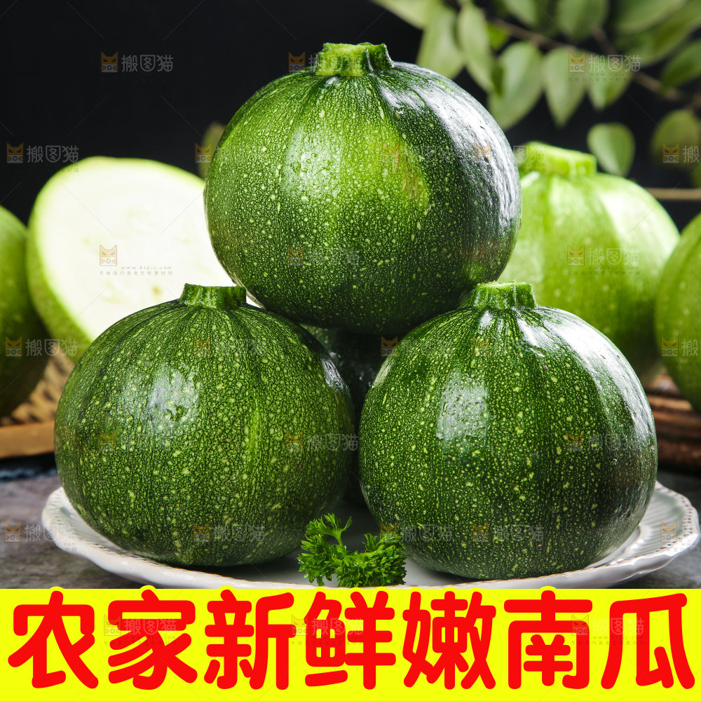 嫩南瓜主图
